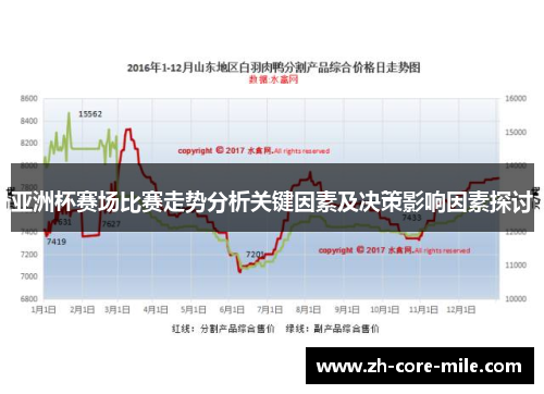 亚洲杯赛场比赛走势分析关键因素及决策影响因素探讨
