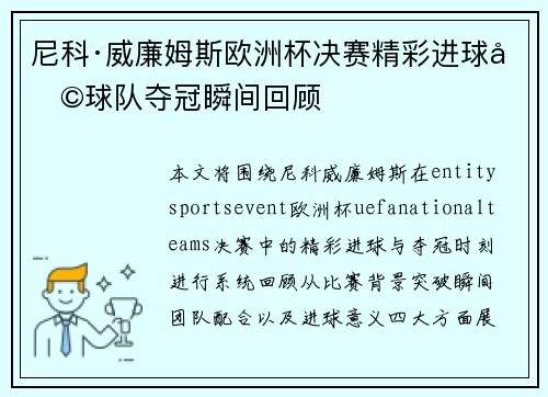 尼科·威廉姆斯欧洲杯决赛精彩进球助球队夺冠瞬间回顾
